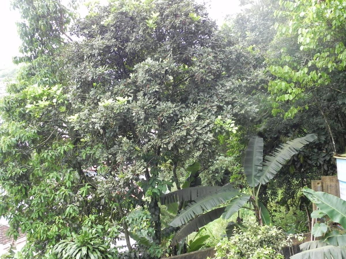 Aconchego Serra Imperial -201 Petropolis  Exterior photo